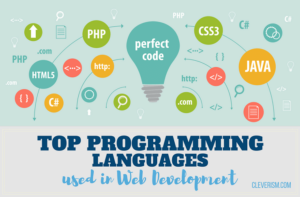 Top Programming Languages Used in Web Development | Cleverism